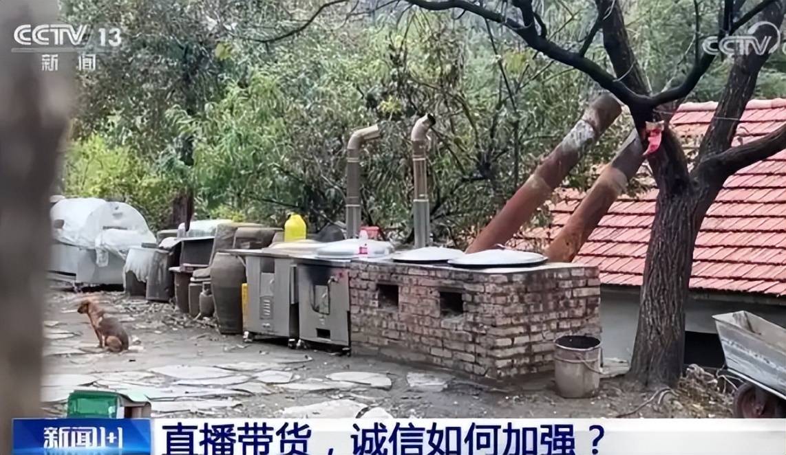 东北雨姐翻车:假人设卖假货,封号罚款成典型