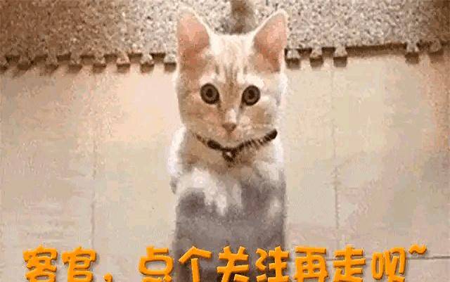 白鹿争议升级:发十万红包能否挽回口碑?