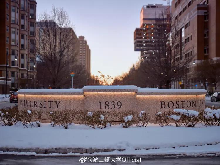 19岁网红钟美美被波士顿大学录取详情