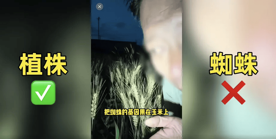 200万网红造谣袁隆平杂交水稻，抹黑农业科学真相