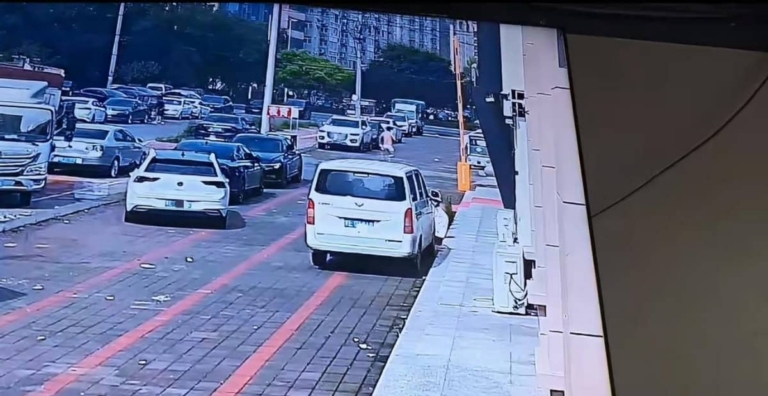 河北巨鹿县大瓜：忠诚是底线，没了底线再累也是白忙活