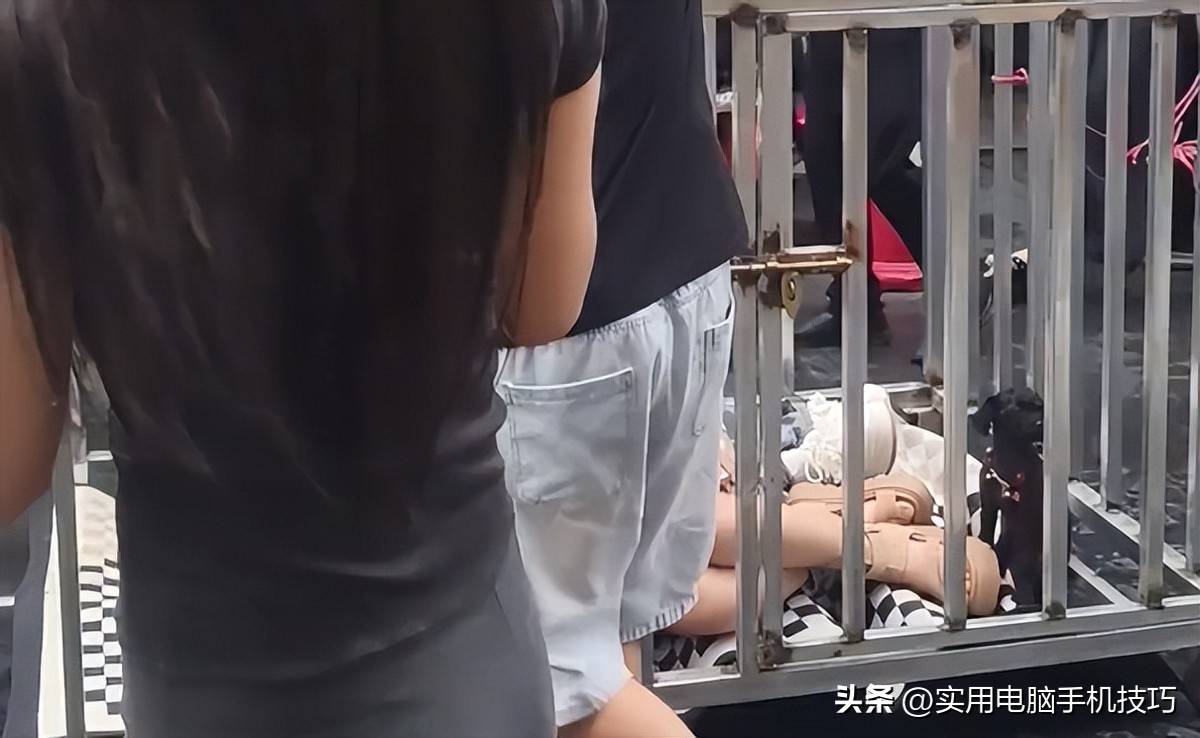湖南女子浸猪笼后续:路人误以为私刑组织者被抓8人全被刑拘