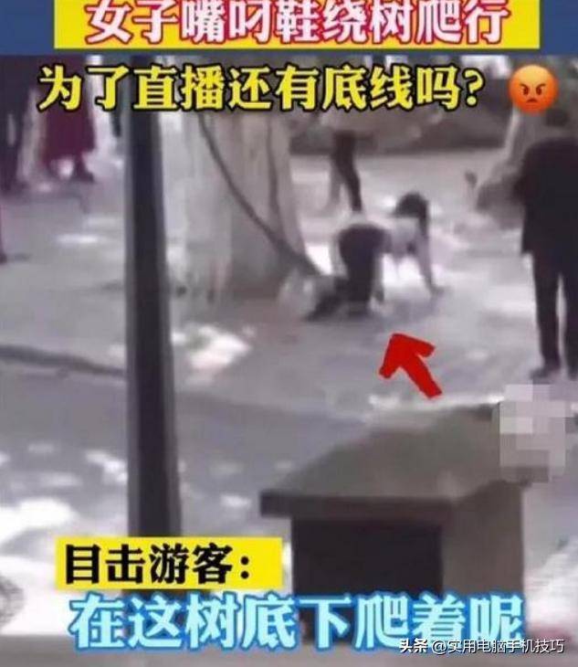 湖南女子浸猪笼后续:路人误以为私刑组织者被抓8人全被刑拘