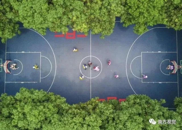 图集2017即将过去这一年南粤大地这些瞬间令人难以忘怀